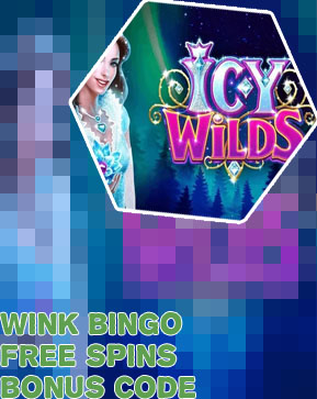 Wink slots 30 free spins